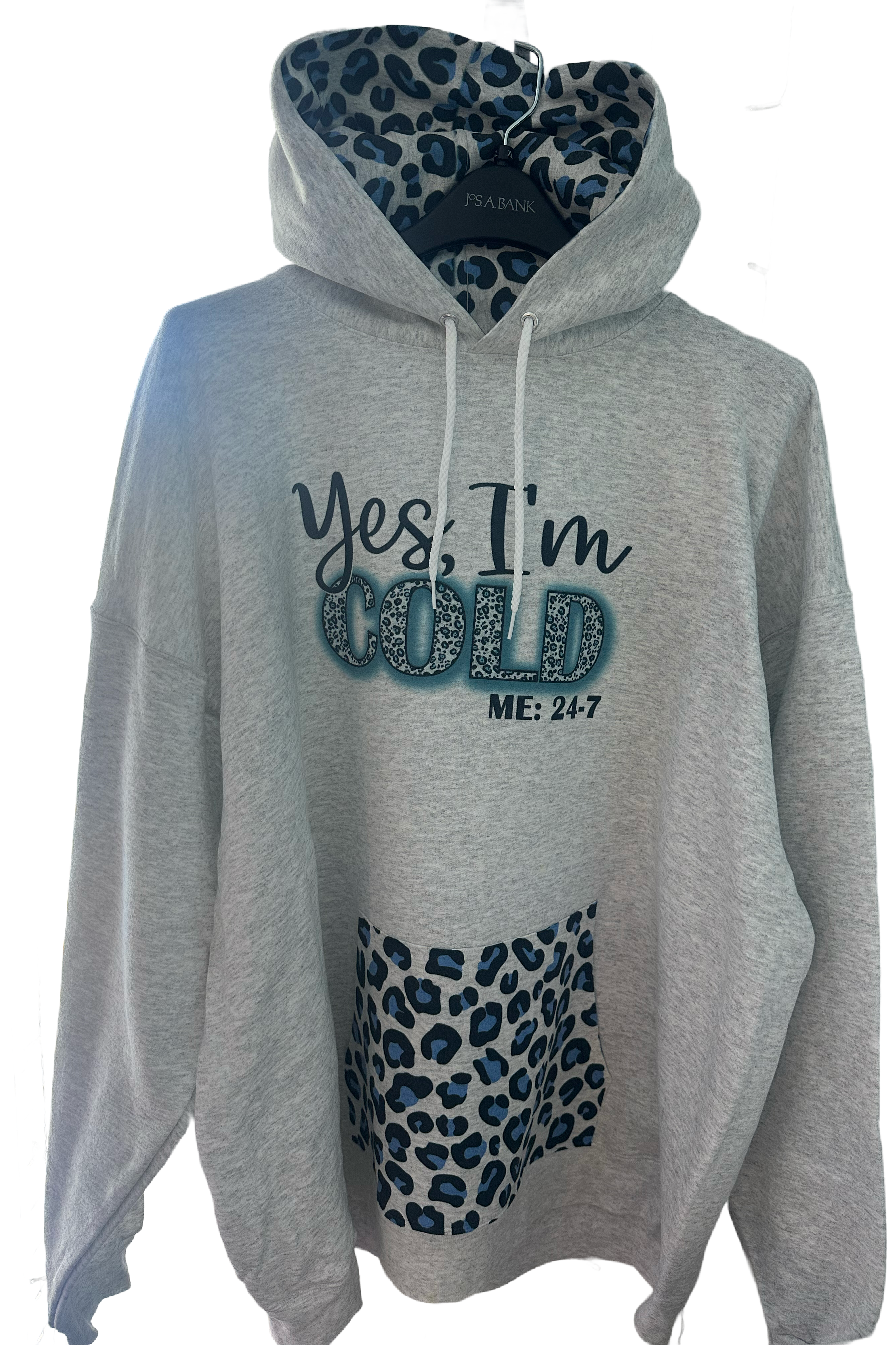 Yes, I’m Cold Hoodie