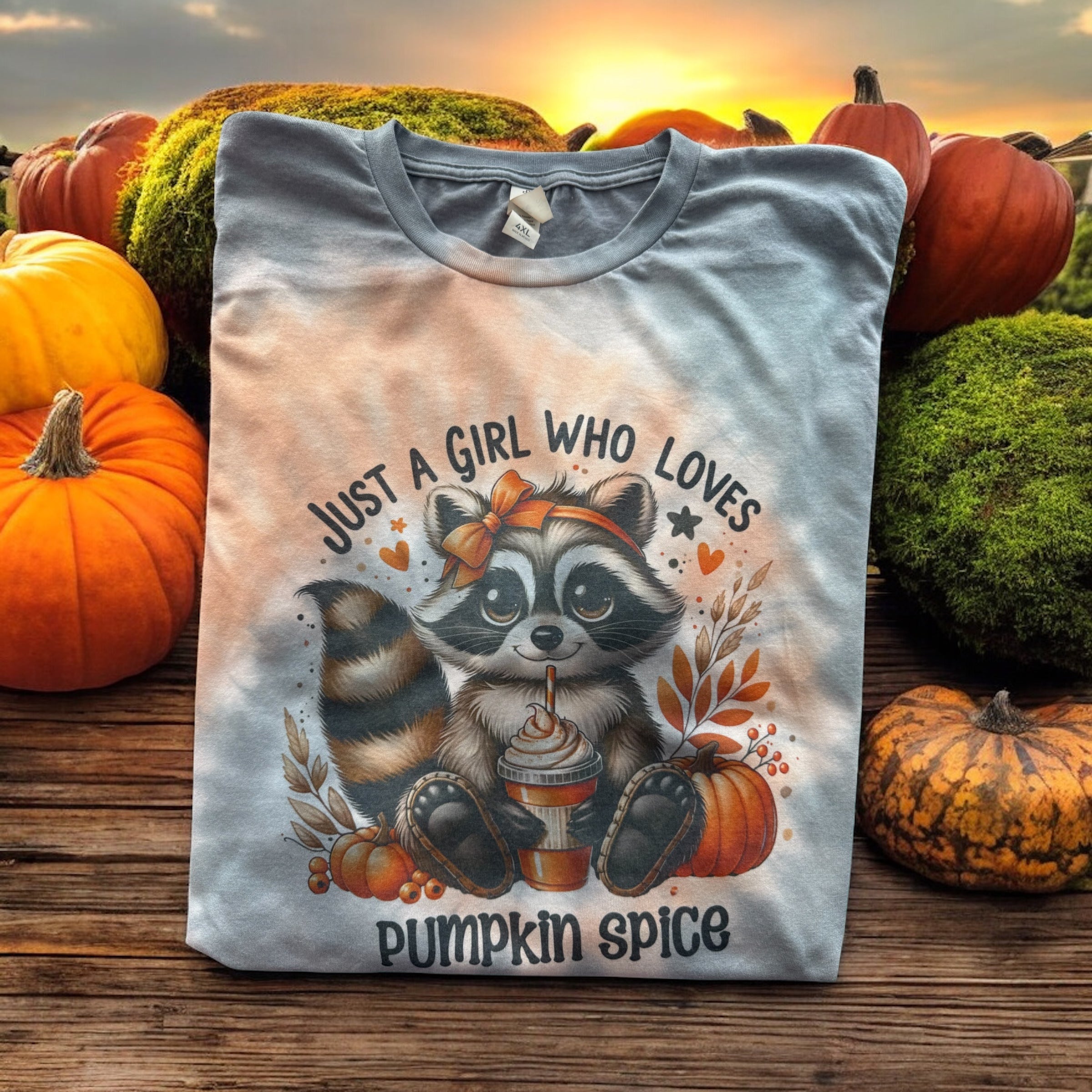 Pumpkin Spice Racoon